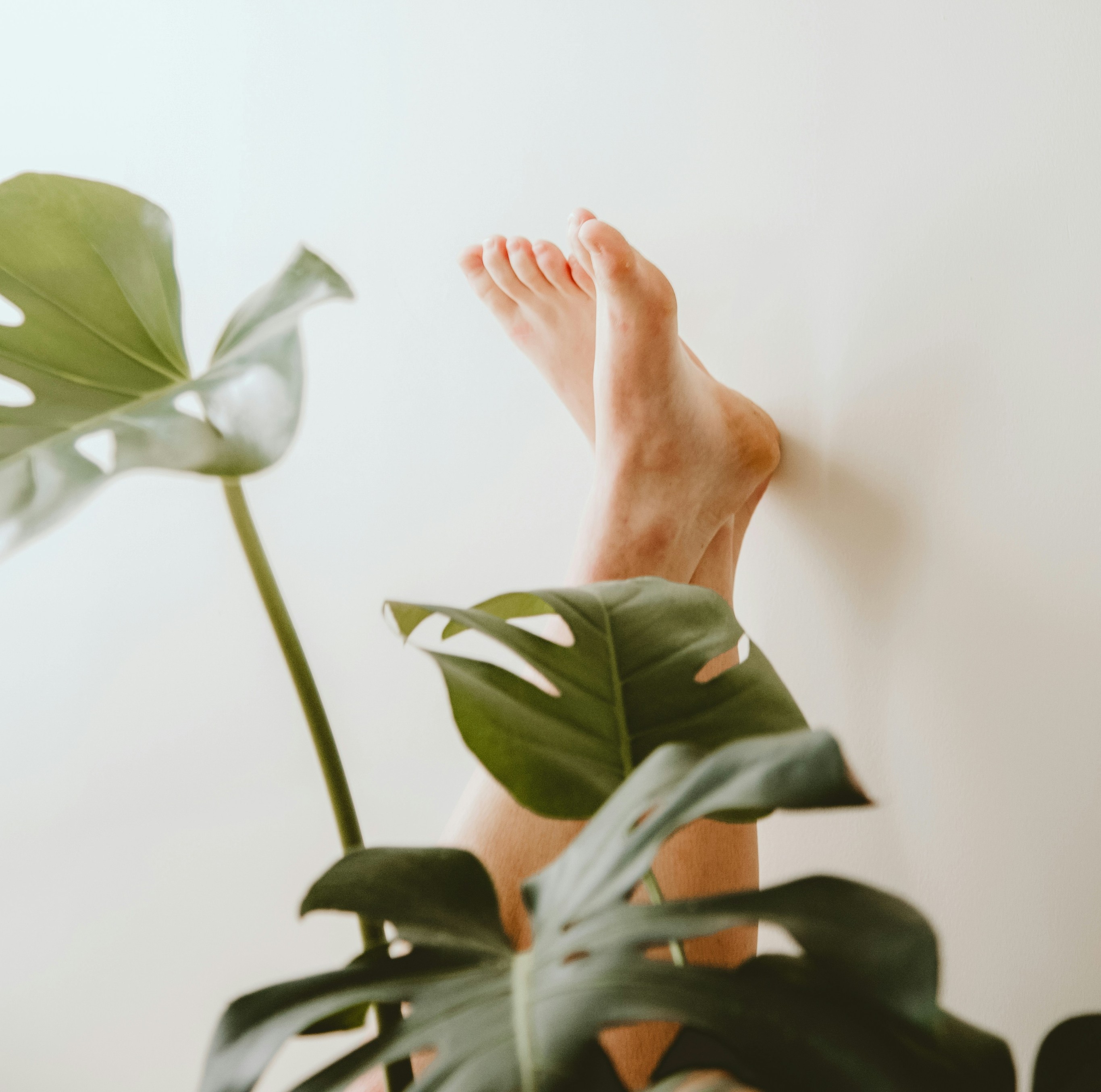 H2 Lorem ipsum dolor